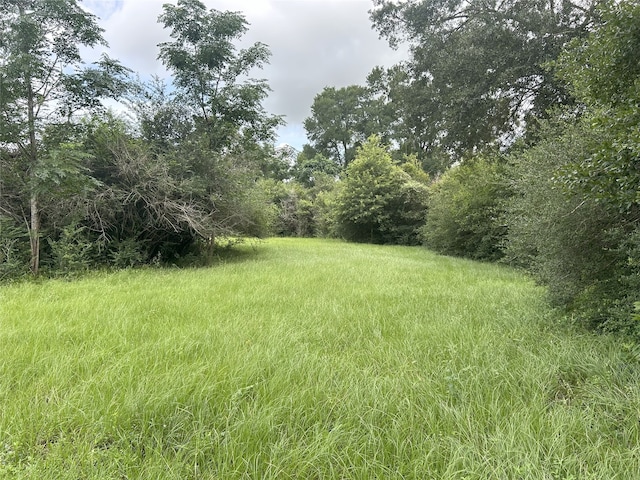 TBD Kerr Rd, Hempstead, TX 77445