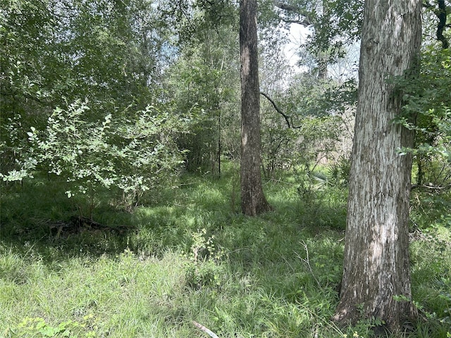 TBD Kerr Rd, Hempstead, TX 77445