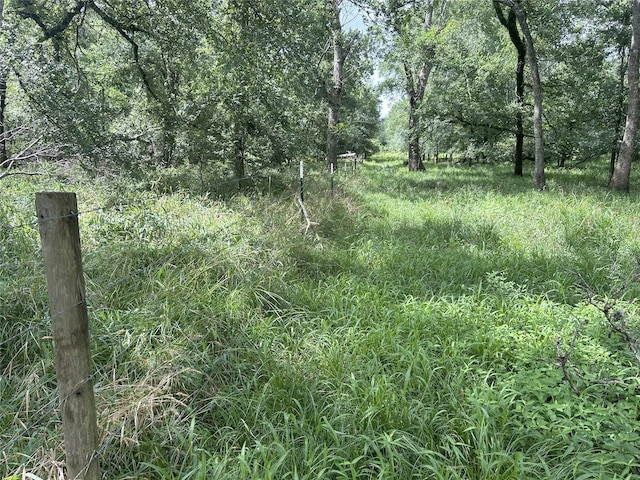 TBD Kerr Rd, Hempstead, TX 77445
