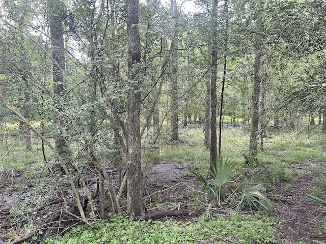 TBD Kerr Rd, Hempstead, TX 77445