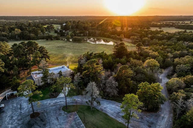 25200 Bernard Rd, New Ulm, TX 78950 - photo 14