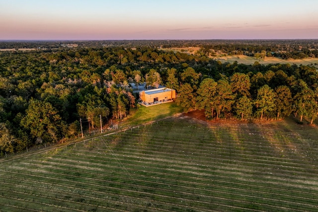 25200 Bernard Rd, New Ulm, TX 78950 - photo 41