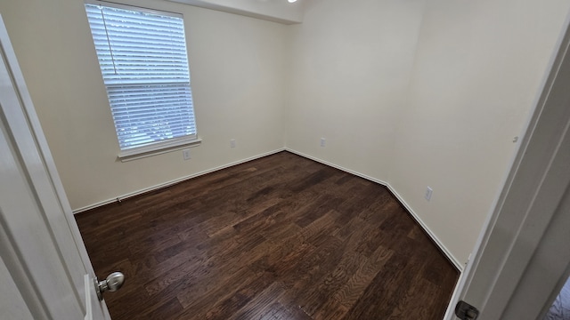 254 Liriope Ct, Conroe, TX 77384 - photo 31