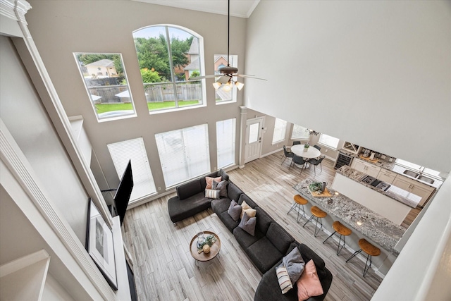 5602 Bergenfield Ct, Katy, TX 77450 - living room with wood finished floors, a high ceiling, ceiling fan, and ornamental molding