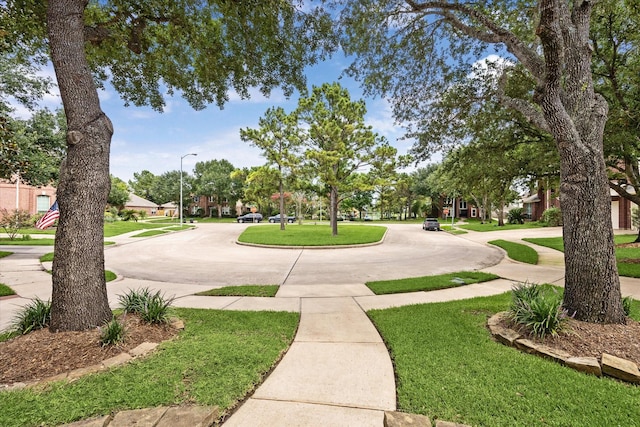 5602 Bergenfield Ct, Katy, TX 77450 - surrounding community with a yard