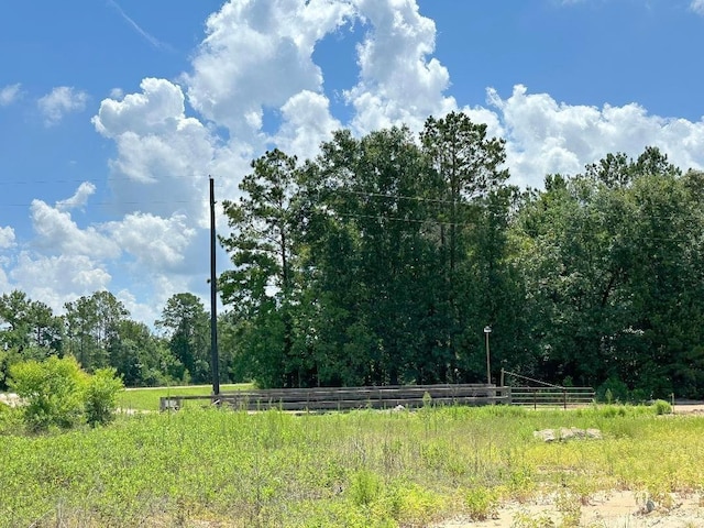25930 Grand Pnes, Magnolia, TX 77355