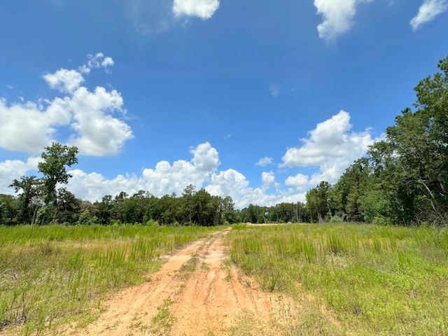 25930 Grand Pnes, Magnolia, TX 77355