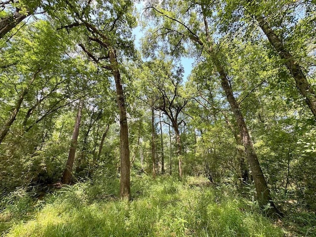 25930 Grand Pnes, Magnolia, TX 77355