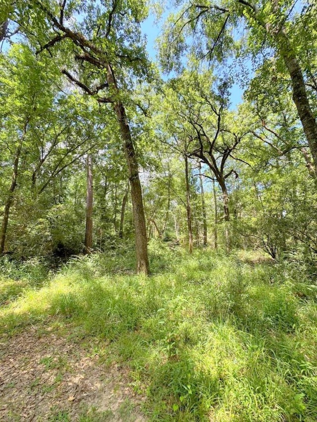 25930 Grand Pnes, Magnolia, TX 77355