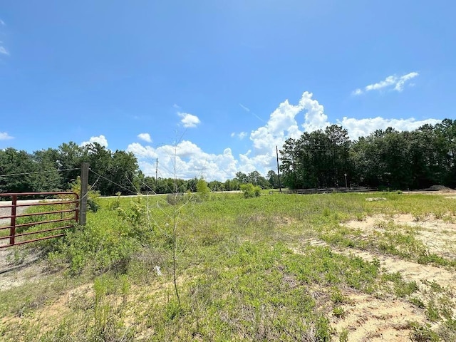 25930 Grand Pnes, Magnolia, TX 77355
