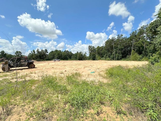 25930 Grand Pnes, Magnolia, TX 77355