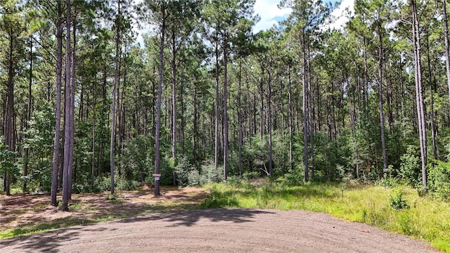 n/a Fm 705, Broaddus, TX 75929 - photo 7
