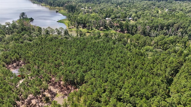 n/a Fm 705, Broaddus, TX 75929 - photo 11