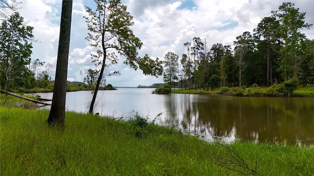 n/a Fm 705, Broaddus, TX 75929 - photo 13