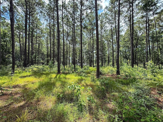 n/a Fm 705, Broaddus, TX 75929 - photo 14