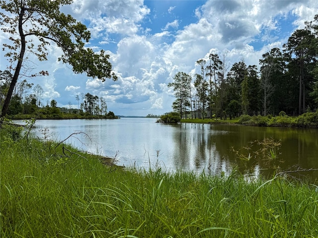 n/a Fm 705, Broaddus, TX 75929 - photo 1