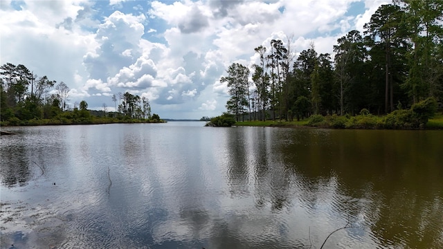 n/a Fm 705, Broaddus, TX 75929 - photo 5