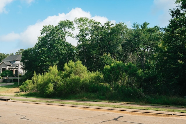 3205 Willow Ridge Dr, Bryan, TX 77807 - photo 16