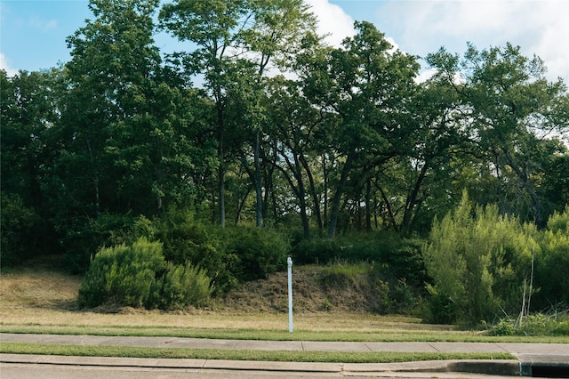 3205 Willow Ridge Dr, Bryan, TX 77807 - photo 18