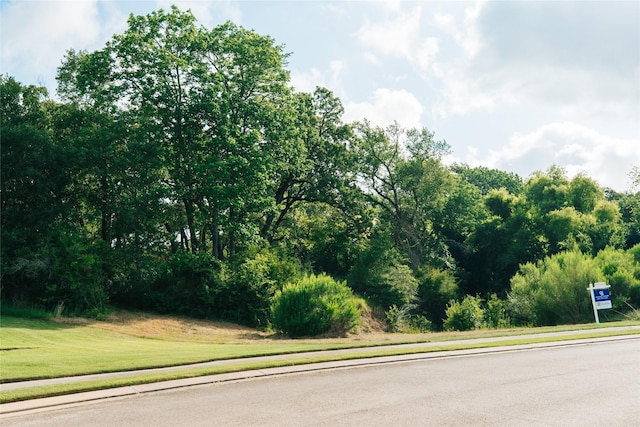3205 Willow Ridge Dr, Bryan, TX 77807 - photo 19