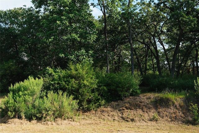 3205 Willow Ridge Dr, Bryan, TX 77807 - photo 20