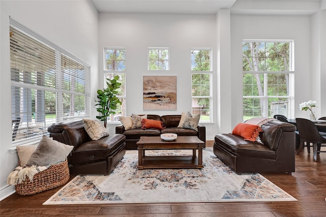 135 Wisteria Walk Cir, The Woodlands, TX 77381 - living area featuring dark wood-style floors