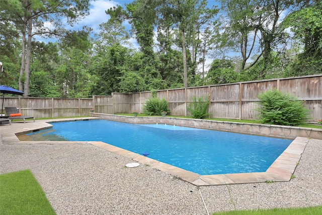 135 Wisteria Walk Cir, The Woodlands, TX 77381 - view of swimming pool with a fenced backyard, a patio area, and view of wooded area