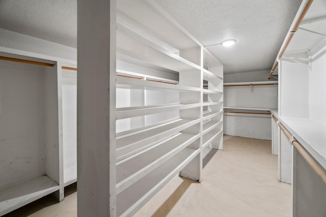 7847 Broadview Dr, Houston, TX 77061 - view of walk in closet
