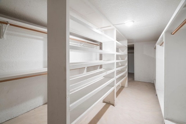 7847 Broadview Dr, Houston, TX 77061 - view of spacious closet