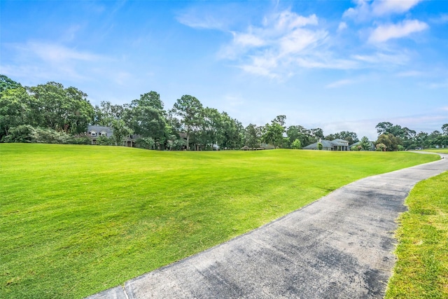 101 Fairway View Ln, Montgomery, TX 77356 - view of home's community with a yard and view of scattered trees