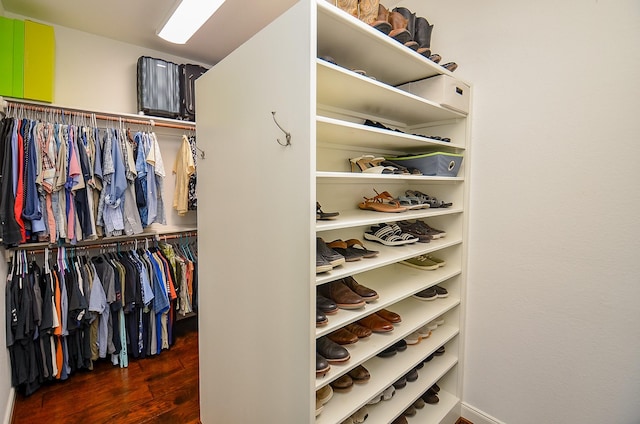 25718 Creek Ledge Dr, Katy, TX 77494 - walk in closet with wood finished floors