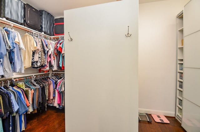 25718 Creek Ledge Dr, Katy, TX 77494 - spacious closet with dark wood finished floors