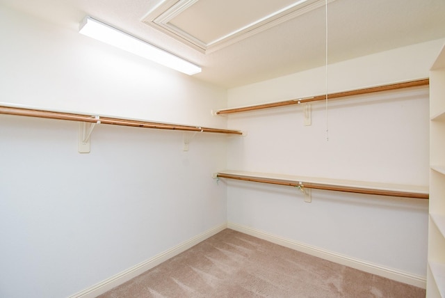 9610 Oakland Lake Way, Missouri City, TX 77459 - spacious closet with light carpet