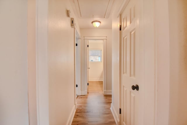 510 Daffodil St, Lake Jackson, TX 77566 - corridor with attic access and light wood finished floors