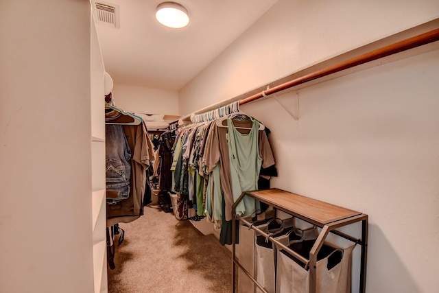 510 Daffodil St, Lake Jackson, TX 77566 - spacious closet with carpet floors