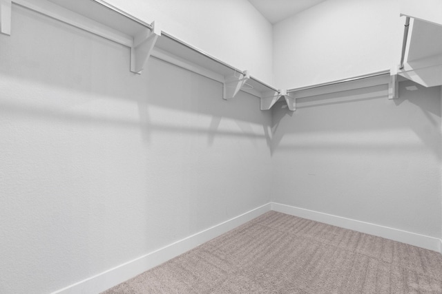 15139 Botanical Garden Dr, Conroe, TX 77302 - walk in closet with carpet floors