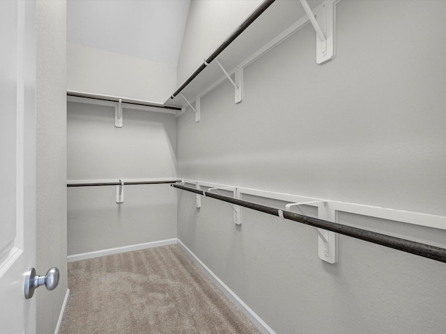 9618 Cambridge Manor Ln, Houston, TX 77045 - walk in closet with light carpet