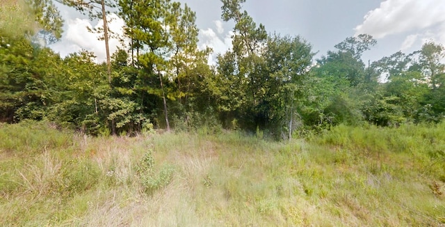 25889 Cornwall, New Caney, TX 77357