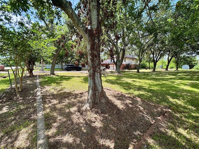 7947 Moore Dr, Pearland, TX 77584 - view of grassy yard