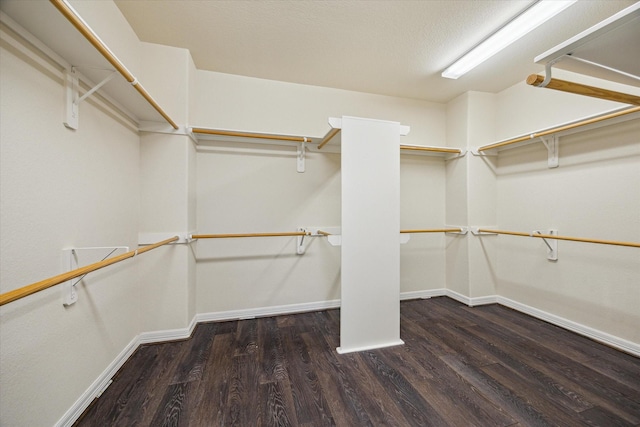 13205 Dartmoor Terrace Dr, Houston, TX 77077 - spacious closet featuring wood finished floors