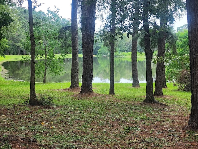 6170 Beech Dr, Montgomery, TX 77316 - water view
