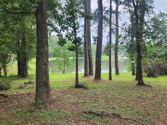 6170 Beech Dr, Montgomery, TX 77316 - view of yard with a water view