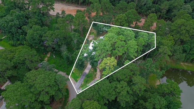 6170 Beech Dr, Montgomery, TX 77316 - aerial view of property and surrounding area with property parcel outlined and a large body of water