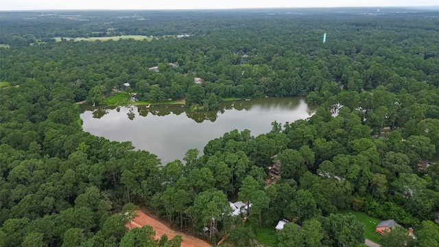 6170 Beech Dr, Montgomery, TX 77316 - aerial view of property's location with a large body of water