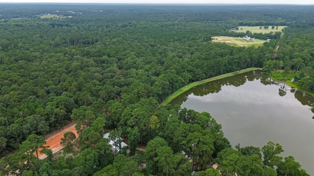 6170 Beech Dr, Montgomery, TX 77316 - aerial view of property and surrounding area with a forest and a large body of water
