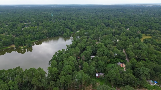 6170 Beech Dr, Montgomery, TX 77316 - bird's eye view of a heavily wooded area and a large body of water