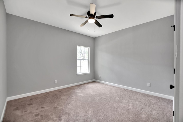 8605 Caddo Rd, Houston, TX 77078 - photo 20