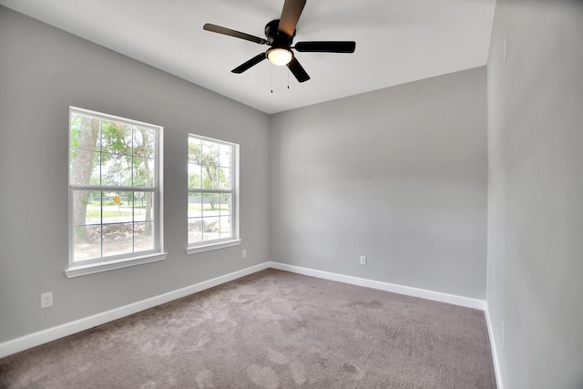 8605 Caddo Rd, Houston, TX 77078 - photo 21