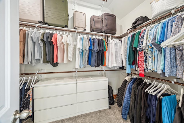 32311 Noble Creek Dr, Conroe, TX 77385 - spacious closet with carpet floors