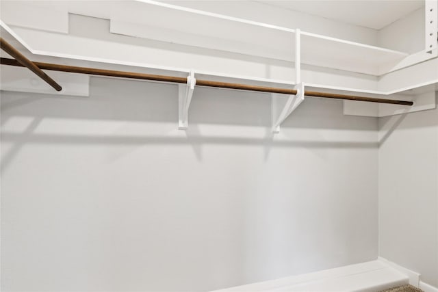 6429 Burgoyne Rd Unit 15, Houston, TX 77057 - view of spacious closet
